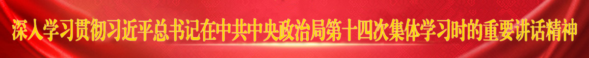 深入学习贯彻习近平总书记在中共中央政治局第十四次集体学习时的重要讲话精神 深入学习贯彻习近平总书记在中共中央政治局第十四次集体学习时的重要讲话精神