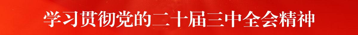 学习贯彻党的二十届三中全会精神 学习贯彻党的二十届三中全会精神